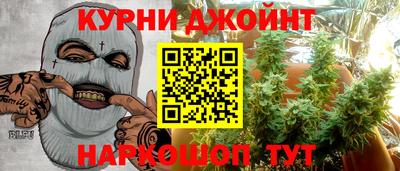 крисы Кинель